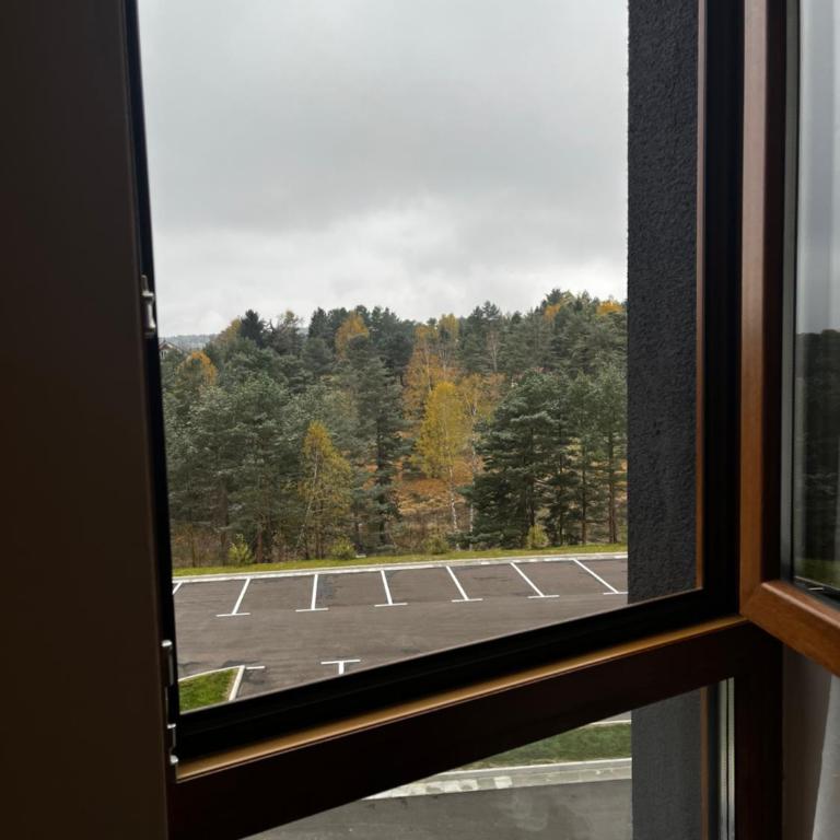 Šumska staza Divčibare apartmani - Apartman sa 1 Spavaćom Sobom - 15