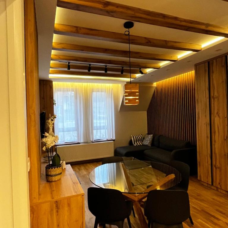 Šumska staza Divčibare apartmani - Apartman sa 1 Spavaćom Sobom - 18