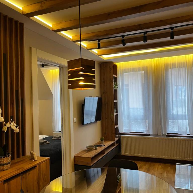 Šumska staza Divčibare apartmani - Apartman sa 1 Spavaćom Sobom - 19