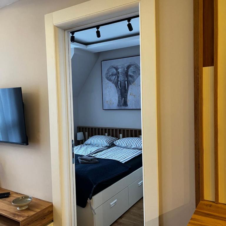 Šumska staza Divčibare apartmani - Apartman sa 1 Spavaćom Sobom - 20