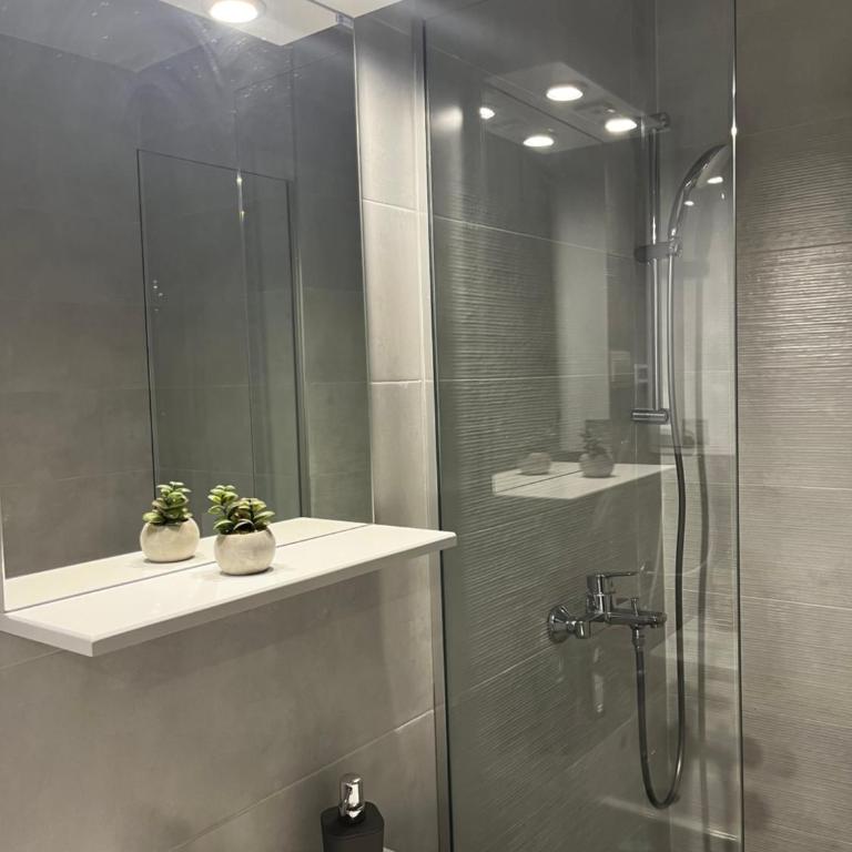 Šumska staza Divčibare apartmani - Apartman sa 1 Spavaćom Sobom - 24