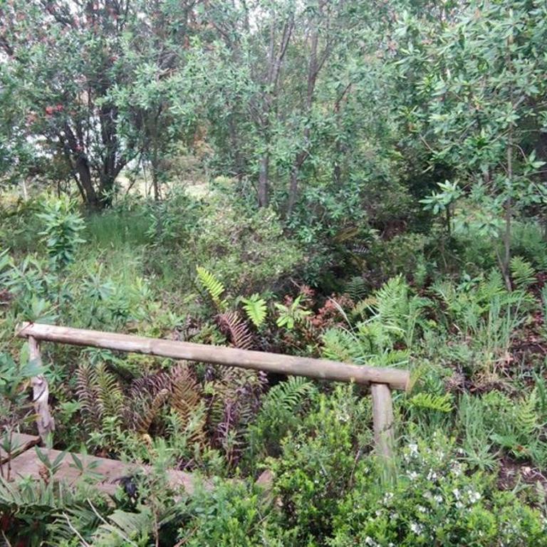valle escondido - Two-Bedroom House - 11