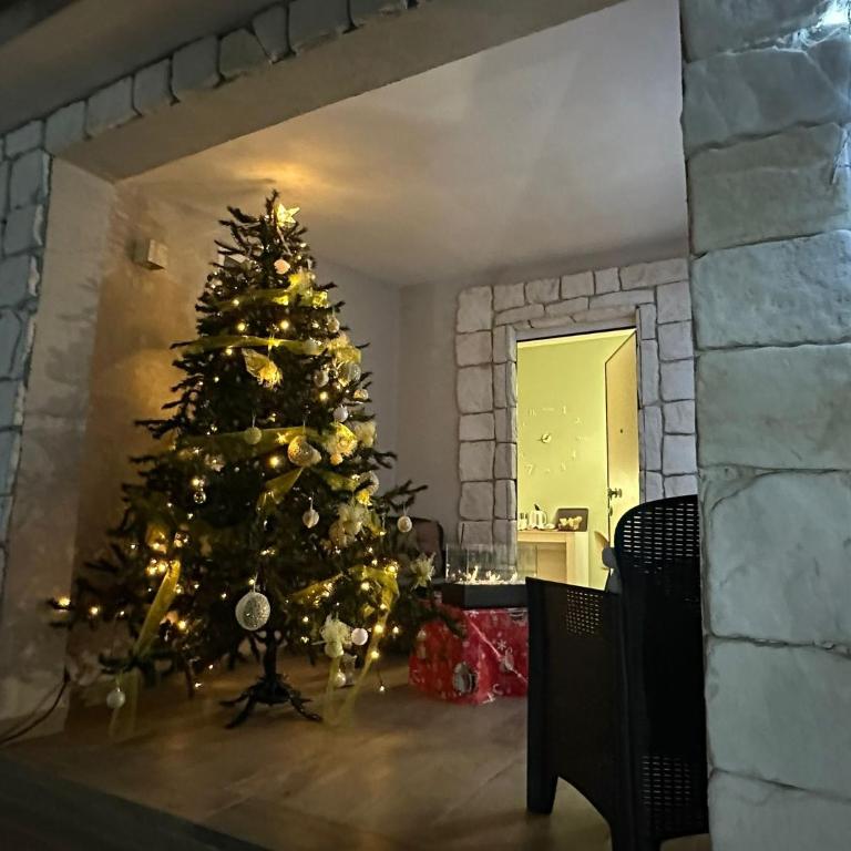 Suite Balestra - One-Bedroom House - 5