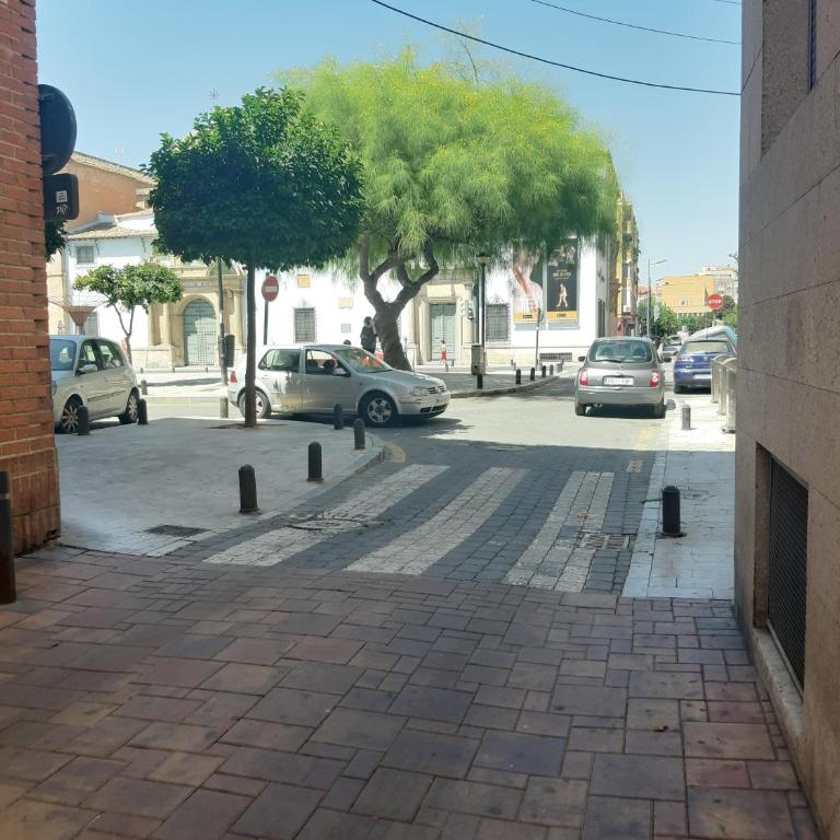 Apartamento Cerca Estacion de Bus - Apartamento de 3 dormitorios - 24