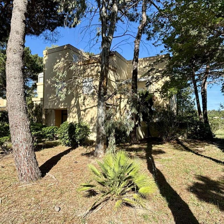 Appartement 2 pièces 4 couchages ARGELES SUR MER AR450-1707 - Appartement - 13