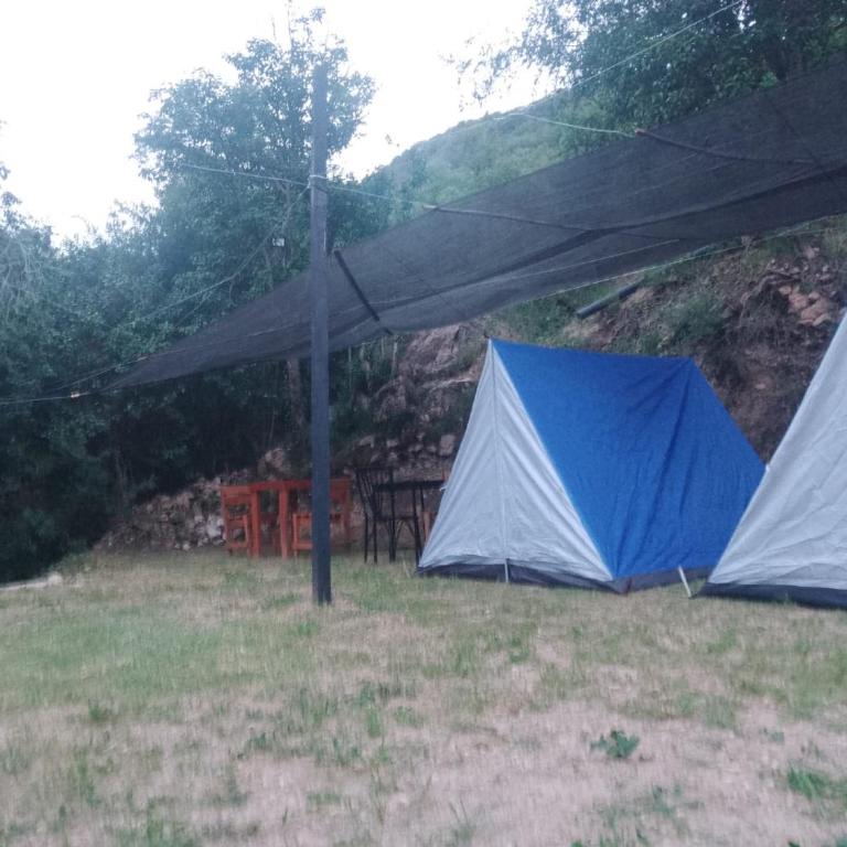 Campamento Monarcas - Tienda - 1