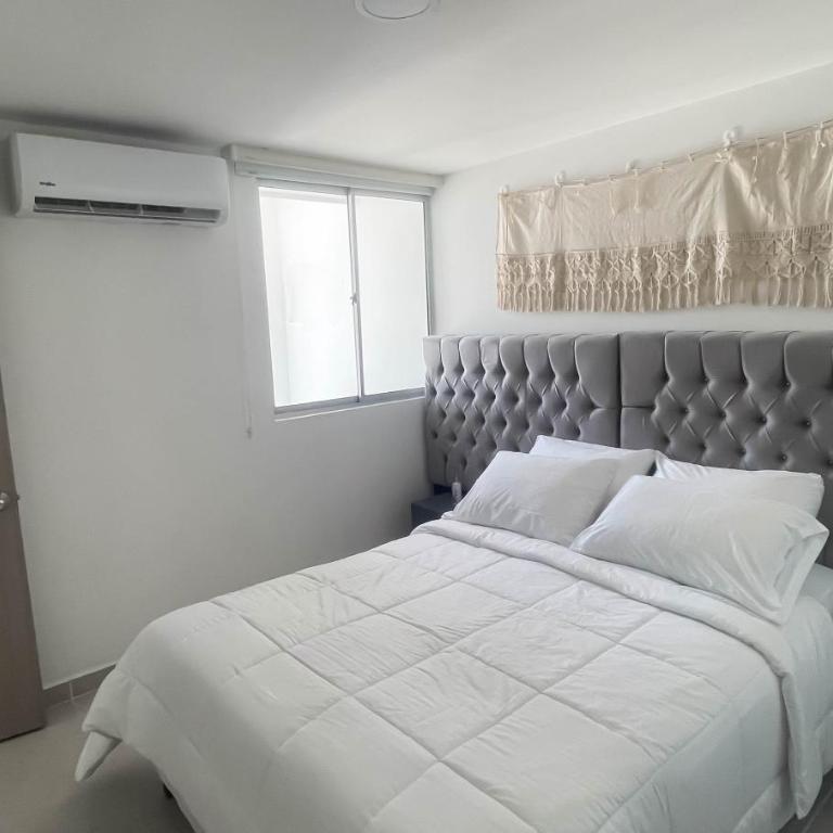 Apartamento completo - Apartamento de 2 dormitorios - 14