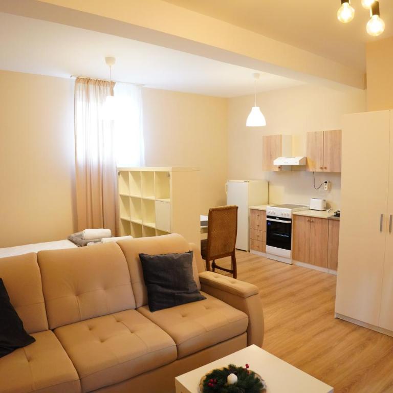 Apartmani Kula Novi Banovci Svetosavska 137 - One-Bedroom Apartment - 11