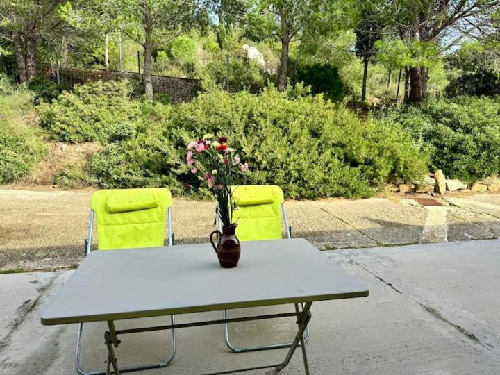 Le Kiwi, bel appartement moderne en pleine nature - Apartment mit 2 Schlafzimmern - 14