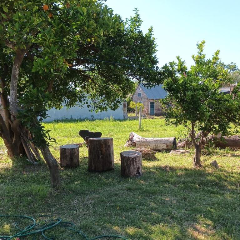 Amplia en centro de San Gregorio - Casa de 2 dormitorios - 4