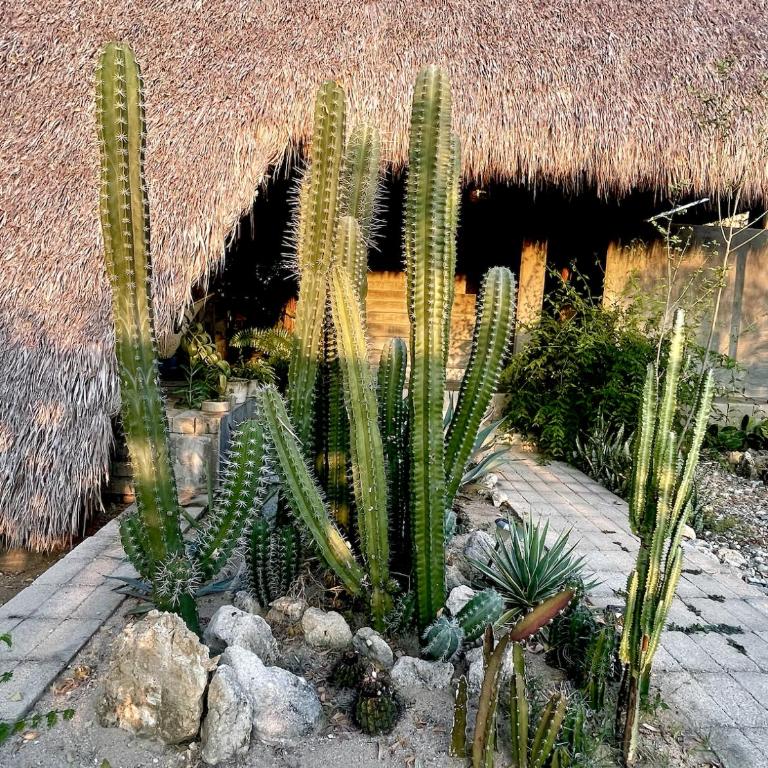 cabaña a pasos del mar en la costa - Casa de 2 dormitorios - 20