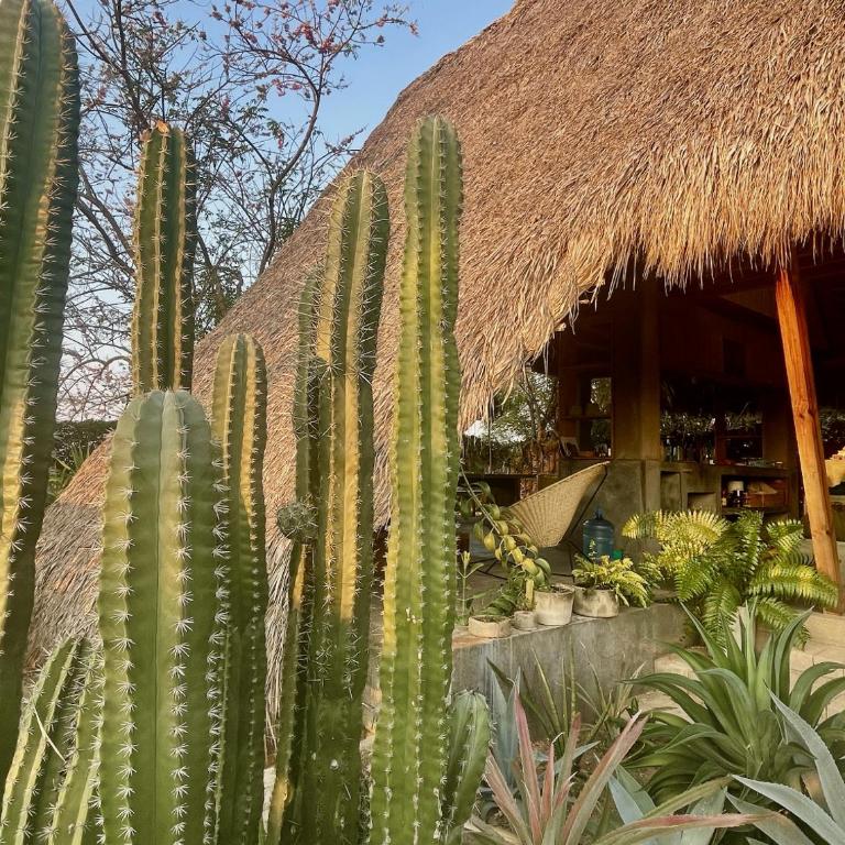 cabaña a pasos del mar en la costa - Casa de 2 dormitorios - 18