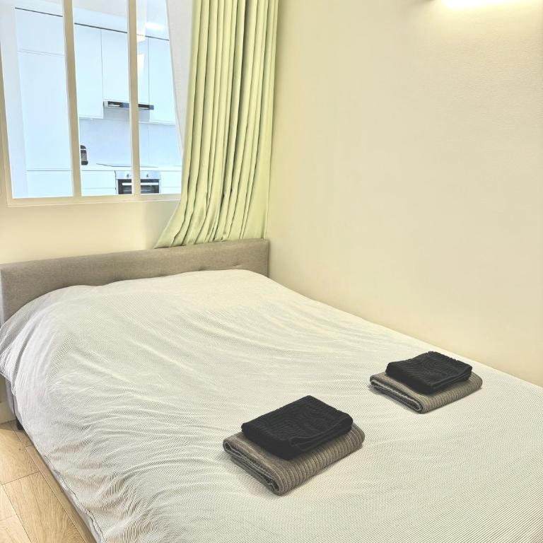 Modern Parisian flat Quartier asiatique Choisy - Appartement 2 Chambres - 15