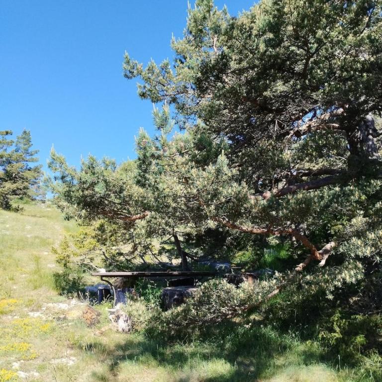 Gréolières les Neiges Studio 4 personnes - Studio - Vue sur Montagne - 12