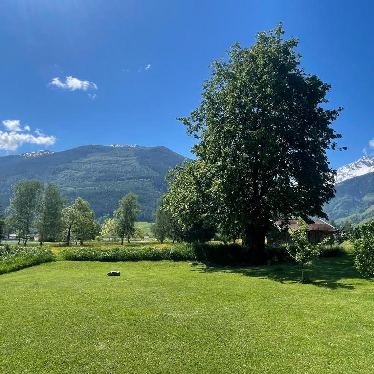 Apartment Haus am See - Apartment mit 2 Schlafzimmern und Bergblick - 1