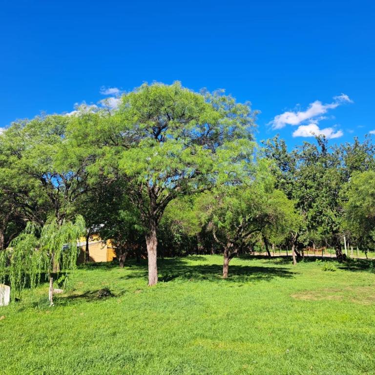 Refugios del Alma - Apartamento de 1 dormitorio - 3