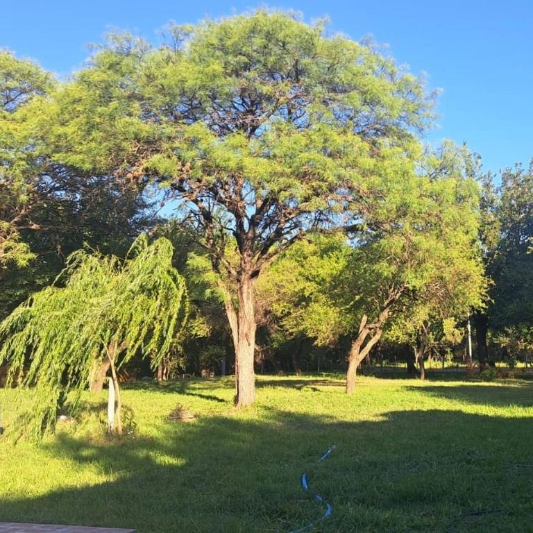 Refugios del Alma - Apartamento de 1 dormitorio - 2