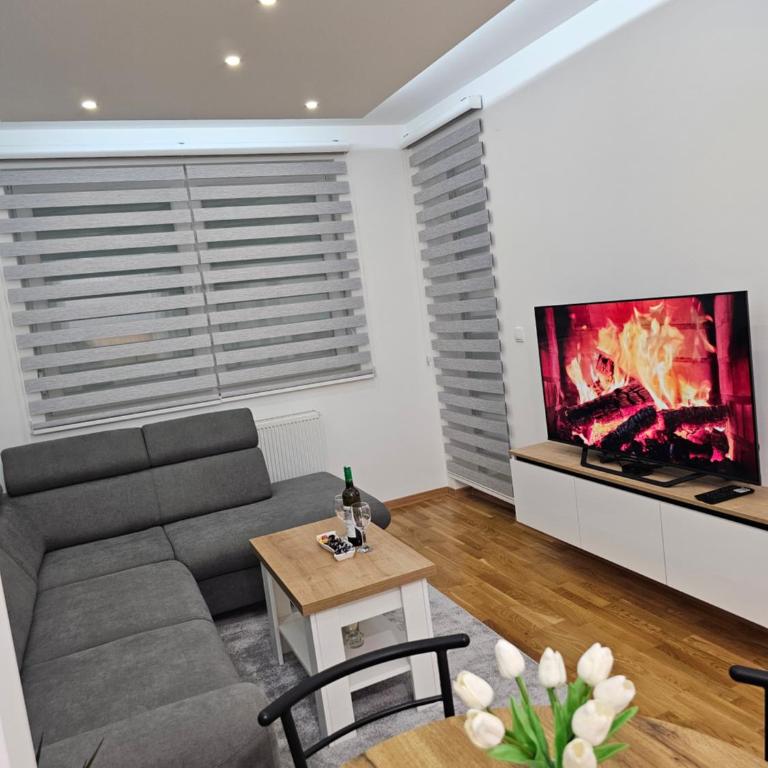Apartman Aleksej Pale Jahorina - One-Bedroom Apartment - 5