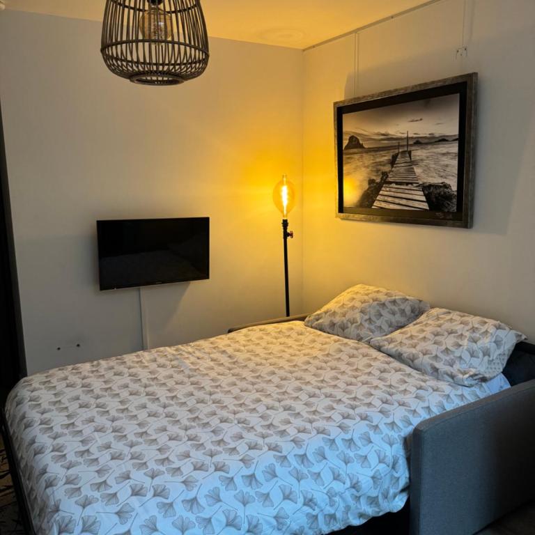 Appartement cosy face à la basilique Saint Remi - Appartamento - 5