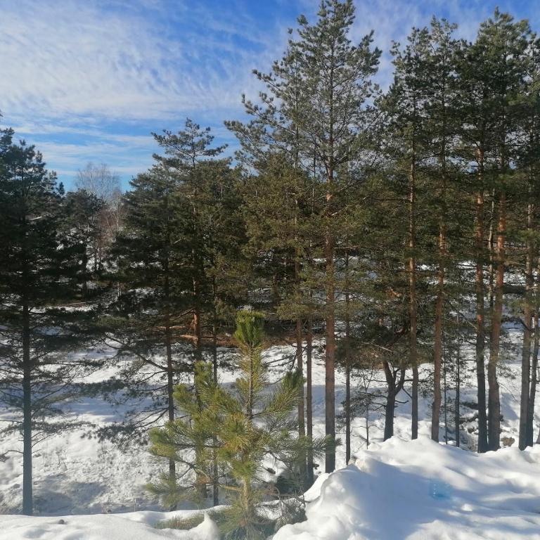 DivčiNova apartman Gnezdo - Apartman sa 1 Spavaćom Sobom - 13