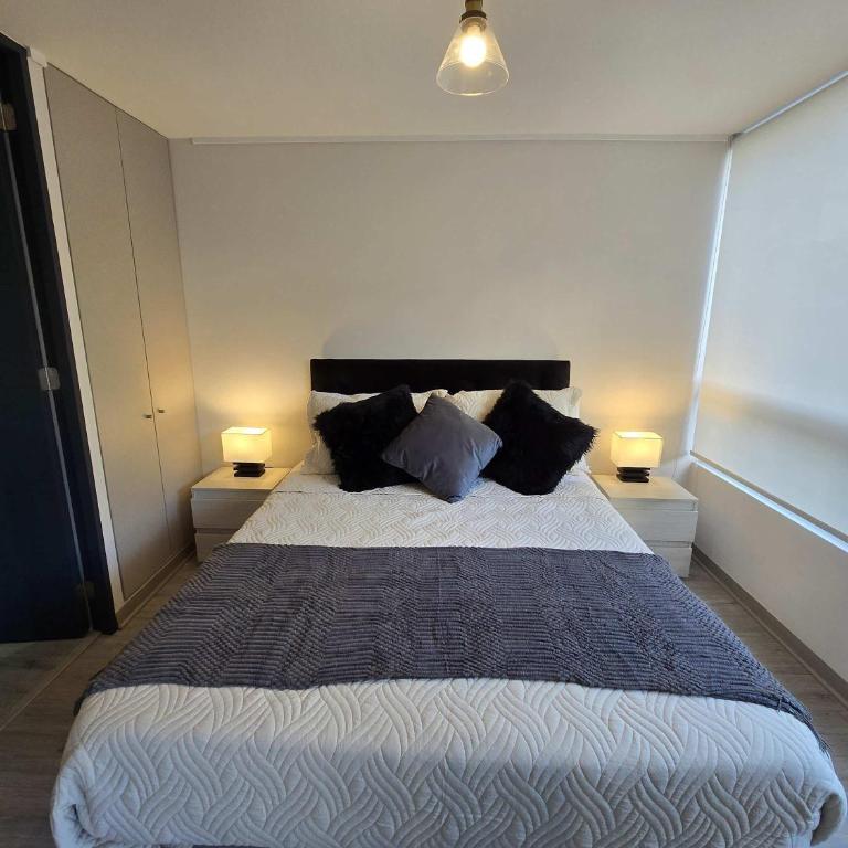 HOM I Nuevo y centrico 1D1B 2PAX Santiago - Apartamento - 20