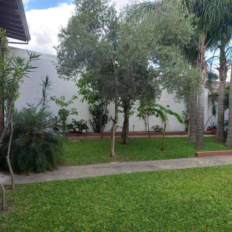 Babella - Apartamento de 1 dormitorio - 9