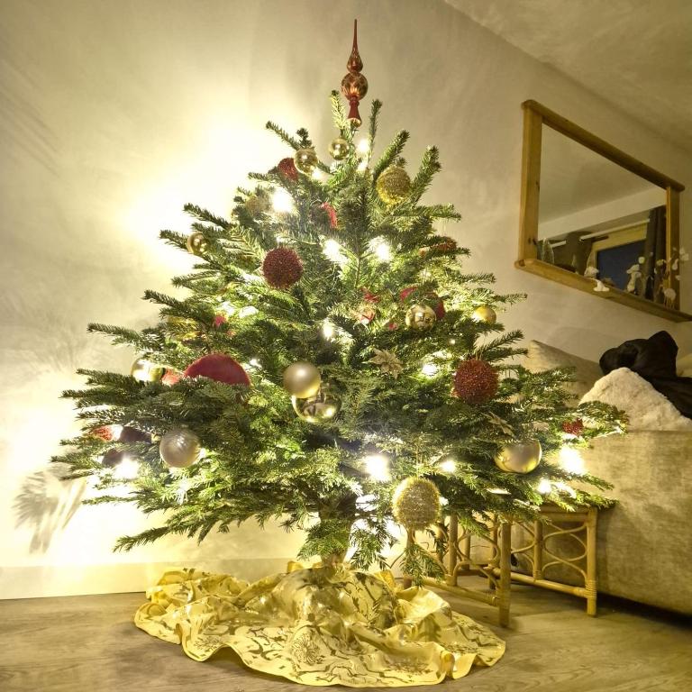 Courchevel 1850 - 4 personnes - ski aux pieds - wifi gratuit - One-Bedroom Apartment - 14