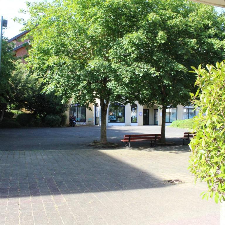 Appartement T3 classé trois étoiles au calme de plain-pied au centre Doussard avec vue sur montagne, lac Annecy à proximité - Two-Bedroom Apartment with Terrace - 28
