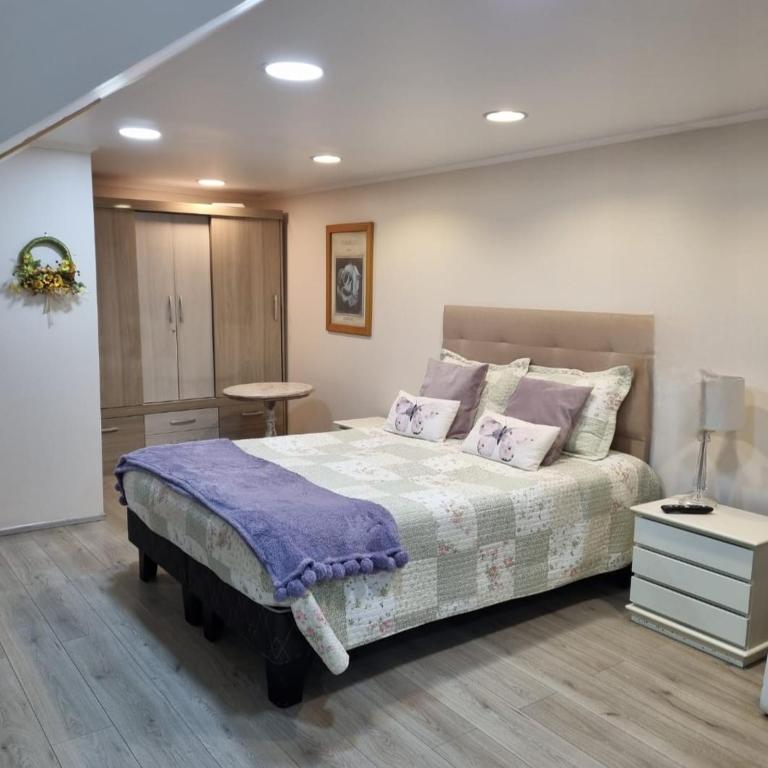 Habitaciones Dobles Valdivia, Isla Teja - Double Room - 10