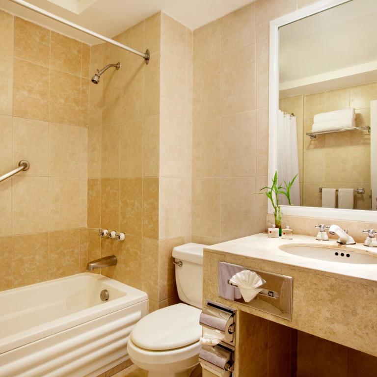 Hotel Geneve CD de Mexico - Deluxe Room - 6