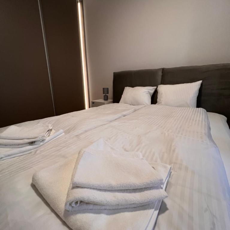 Central Garden Pekovic - Apartman sa 1 Spavaćom Sobom - 7