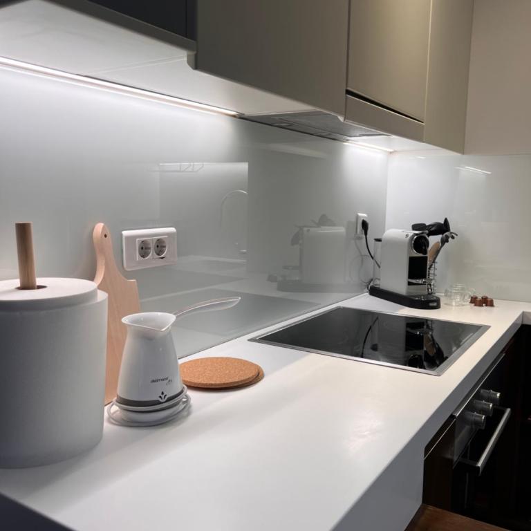 Central Garden Pekovic - Apartman sa 1 Spavaćom Sobom - 12