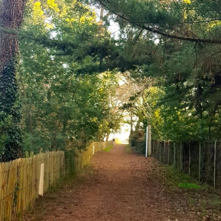 Villa 6 ch. avec sauna, jardin et parking près du Bassin d'Arcachon - Villa con 3 Camere da Letto - 4