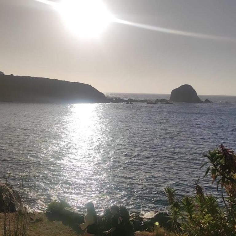 Cabañas Jorge Matte - Apartamento de 1 dormitorio - 3