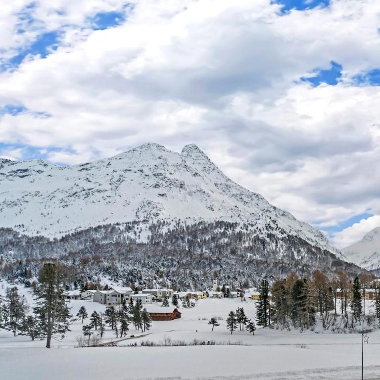 Abitaziun Pra d'Sura 133 - Maloja - Apartment mit Blick auf die Berge - 16