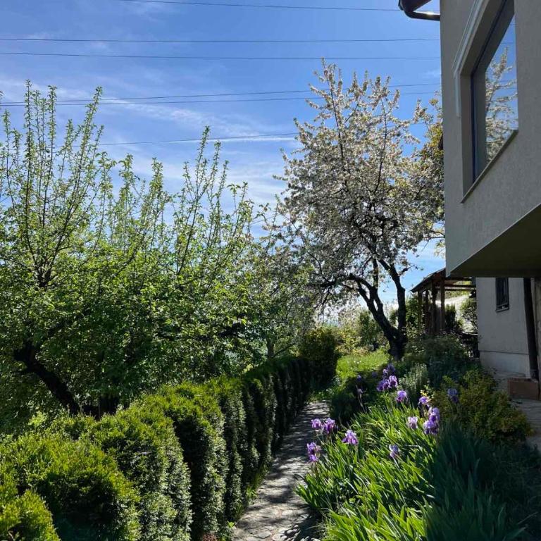 Villa Aja - Kuća sa 3 Spavaće Sobe - 8