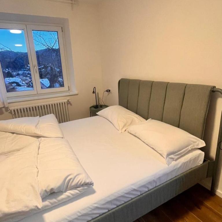 Trentino Apartments - Villa orso Bruno - Appartamento con 2 Camere da Letto - 4