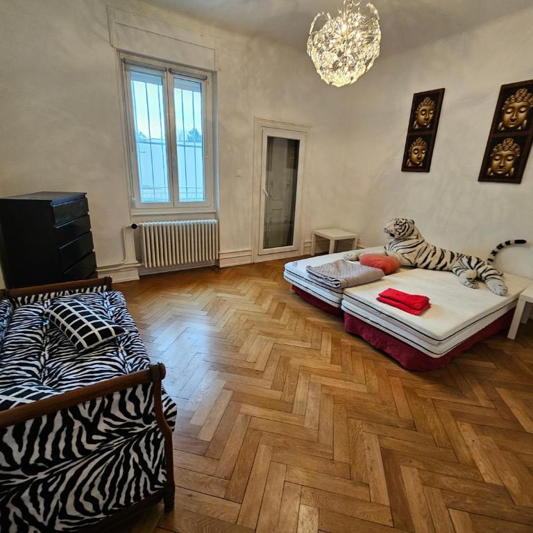 Maison de Maitre à Koenigshoffen - Villa - 9