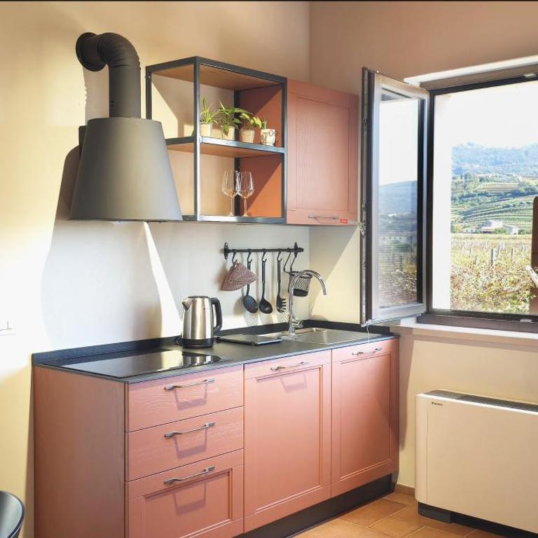 Agriturismo Igino - Camere fra Vigneti della Valpolicella - Monolocale con Terrazza - 8