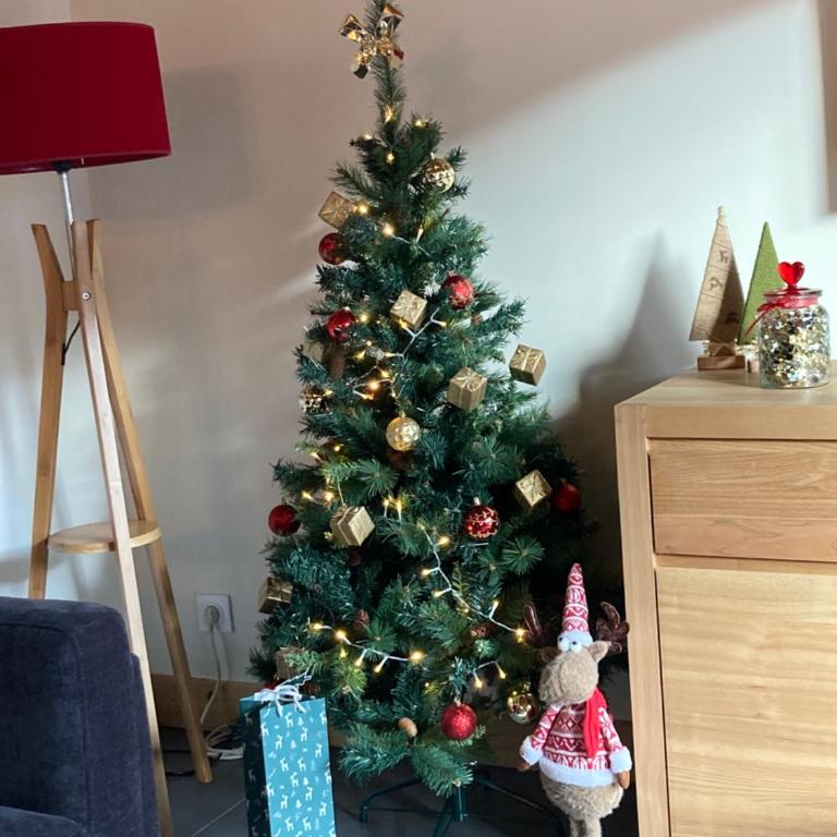 Appartement Rêve de Montagne - Appartamento con 3 Camere da Letto - 22