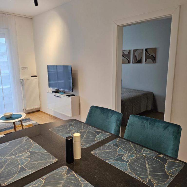 Tirkiz Apartman Banja Koviljača - One-Bedroom Apartment - 20