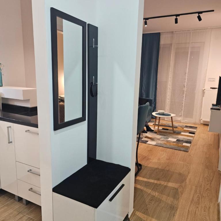Tirkiz Apartman Banja Koviljača - One-Bedroom Apartment - 22