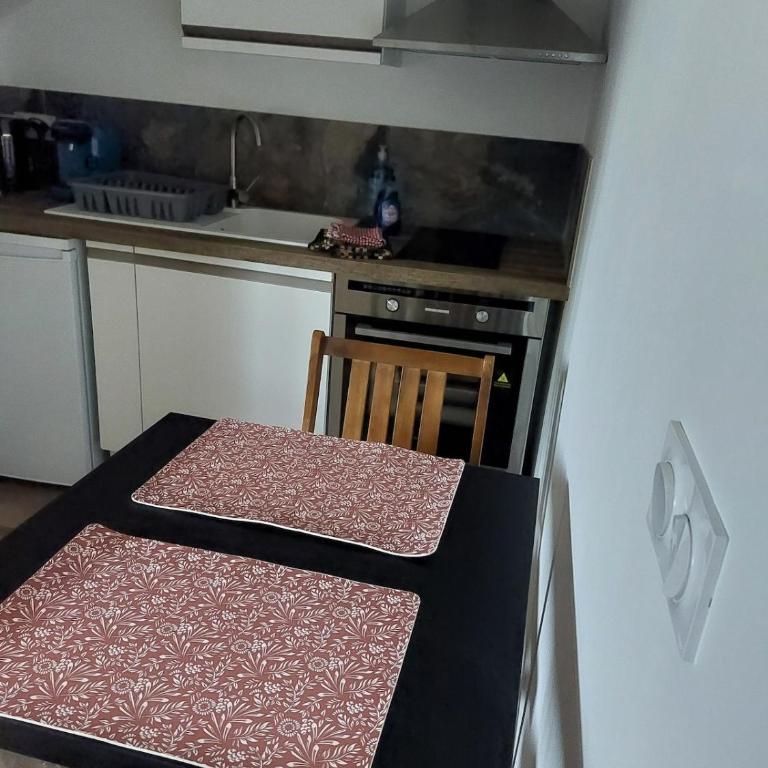 Seul sous les toits de Dijon - Appartement 1 Chambre - 2