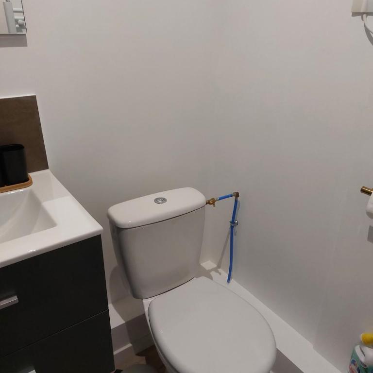 Seul sous les toits de Dijon - Appartement 1 Chambre - 4