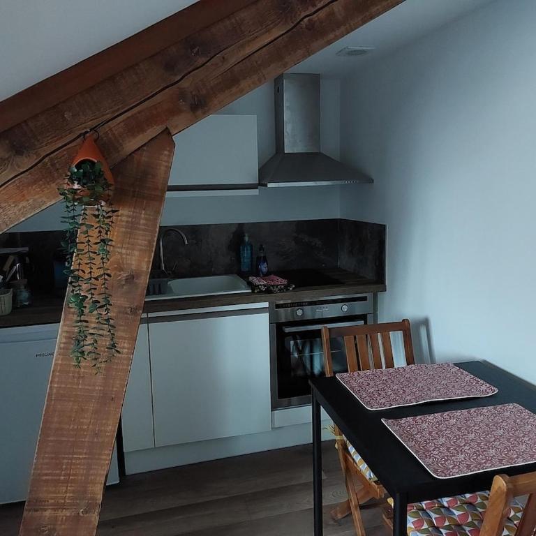 Seul sous les toits de Dijon - Appartement 1 Chambre - 5