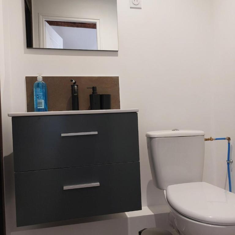 Seul sous les toits de Dijon - Appartement 1 Chambre - 8