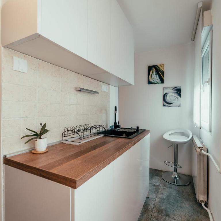 Belgrade Bliss - Apartman sa 1 Spavaćom Sobom - 10