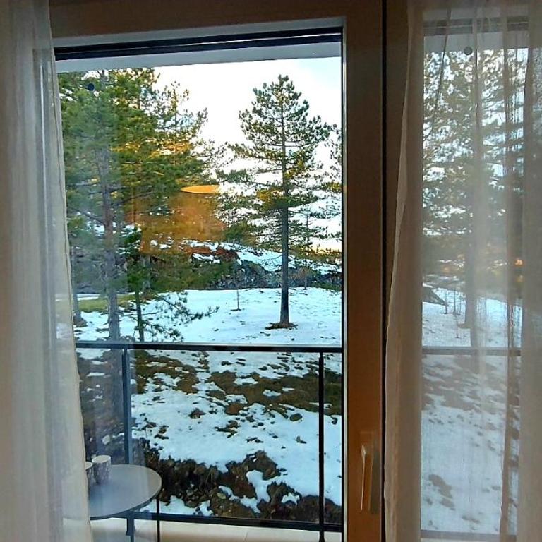 FOREST SIDE Apartmani - Apartman sa 1 Spavaćom Sobom - 58