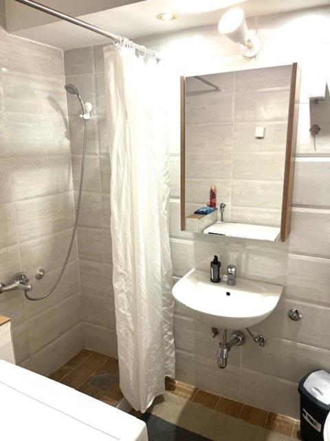 Dorcol Charm - Apartman sa 1 Spavaćom Sobom - 5