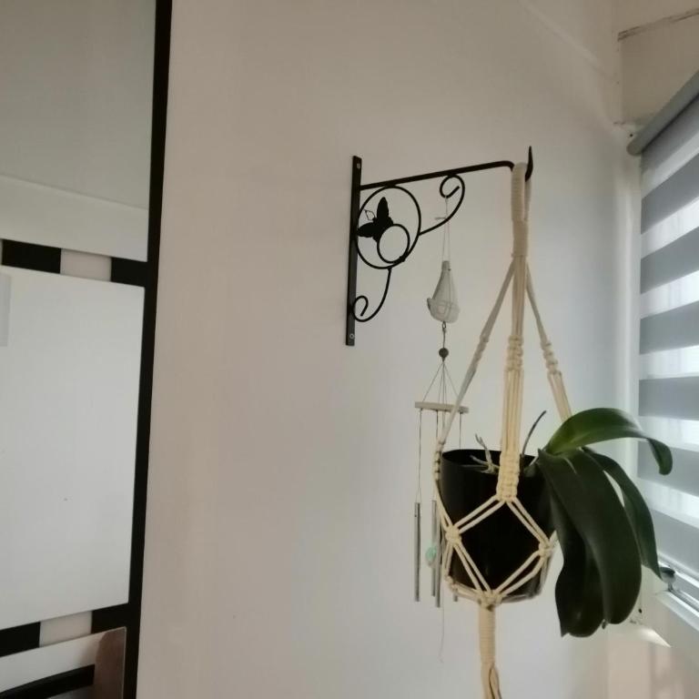 Tiny Little Flat - Apartman sa 1 Spavaćom Sobom - 11
